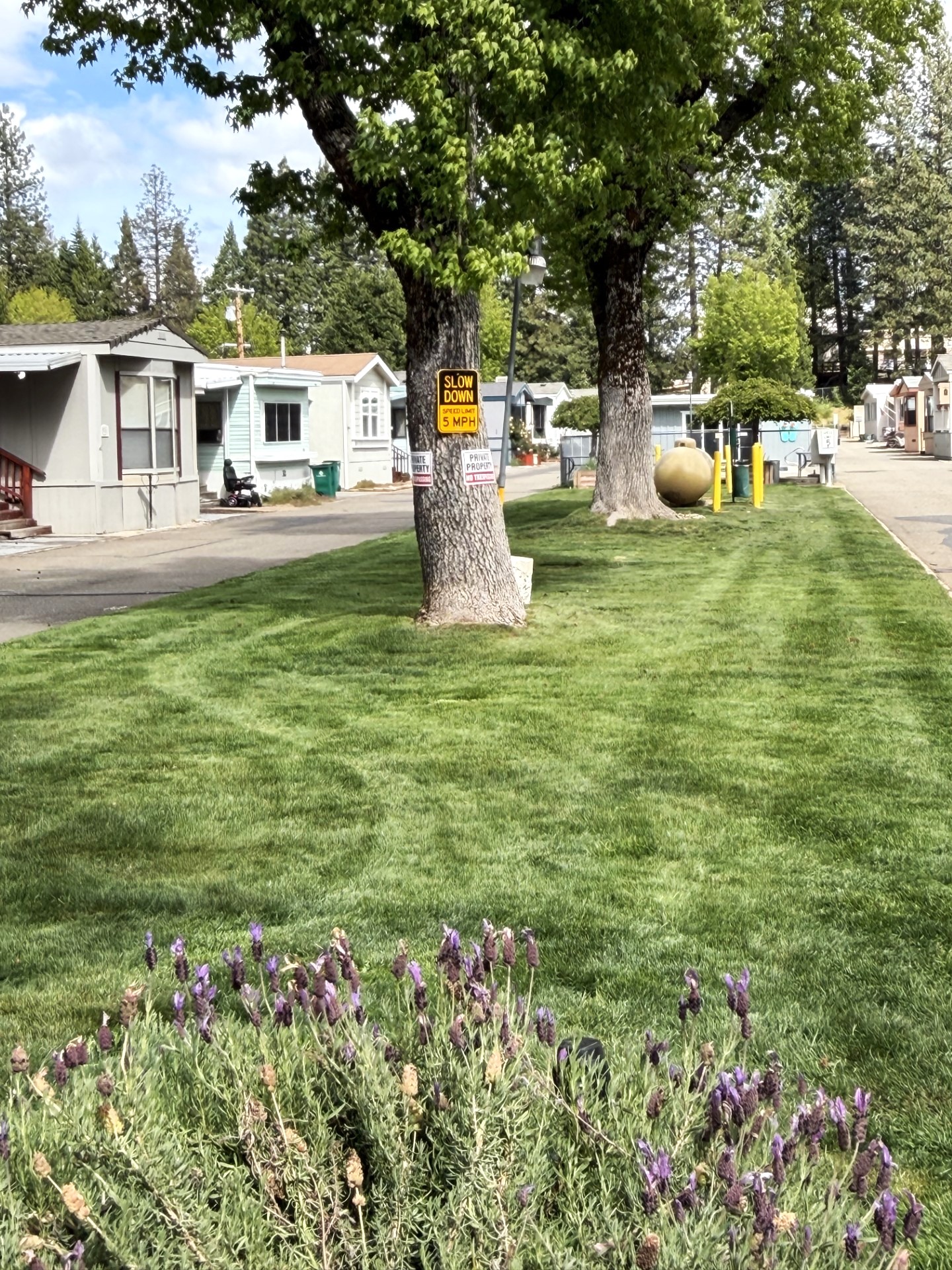 RV Sites & Mobile Homes