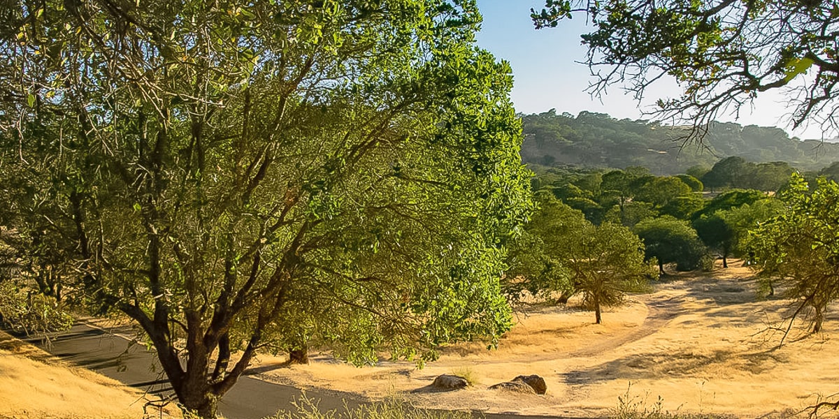 RV Sites & Mobile Homes