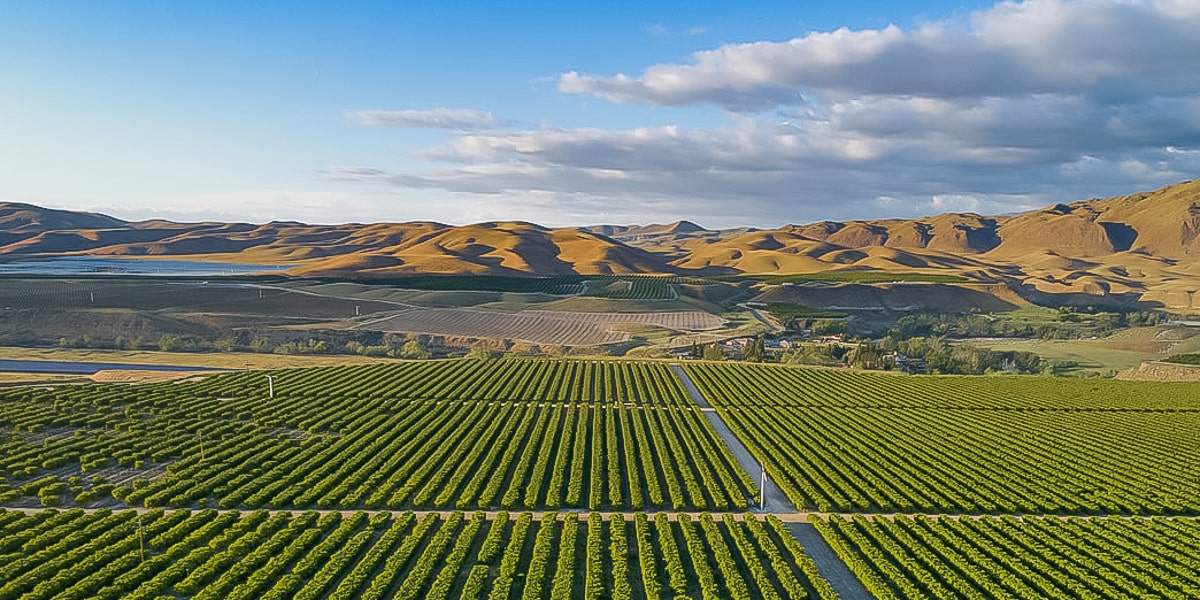 RV Sites & Mobile Homes