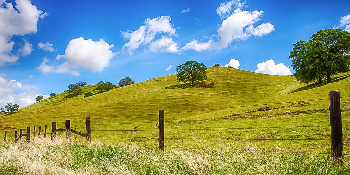 RV Sites & Mobile Homes