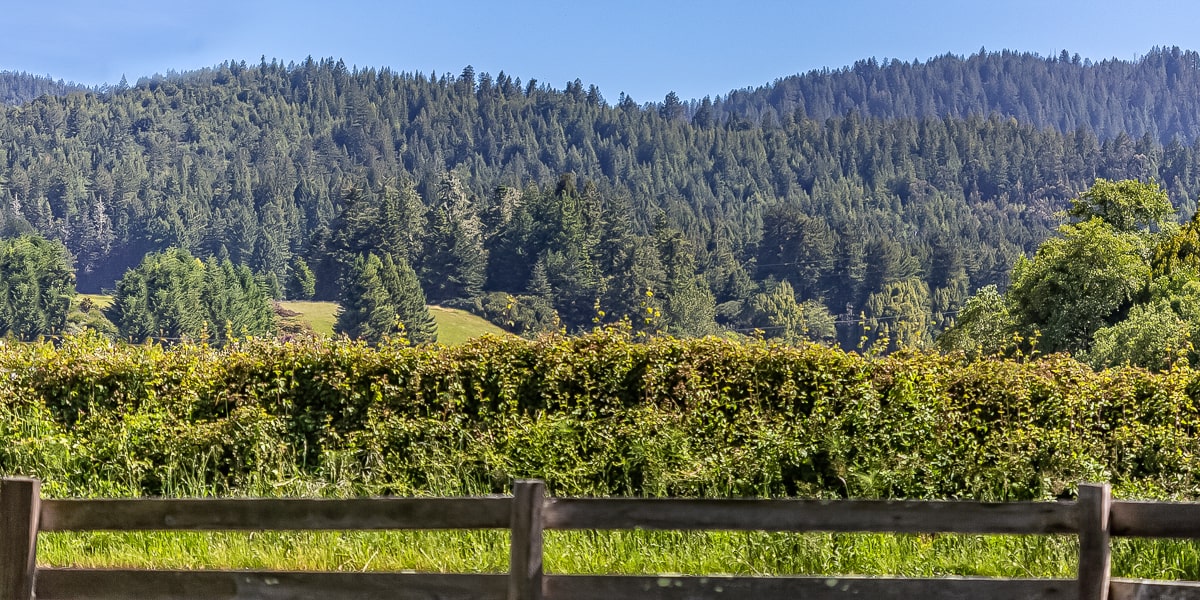 RV Sites & Mobile Homes