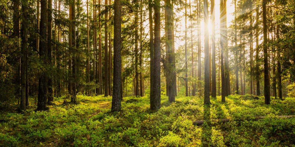 RV Sites & Mobile Homes