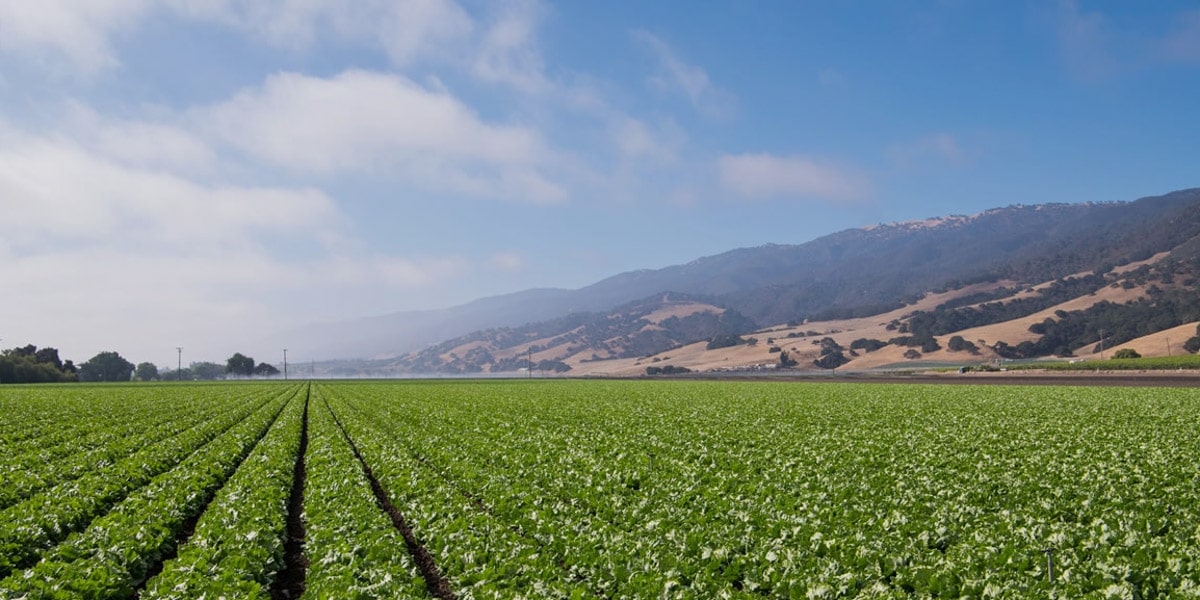 RV Sites & Mobile Homes