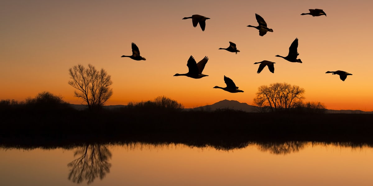 RV Sites & Mobile Homes