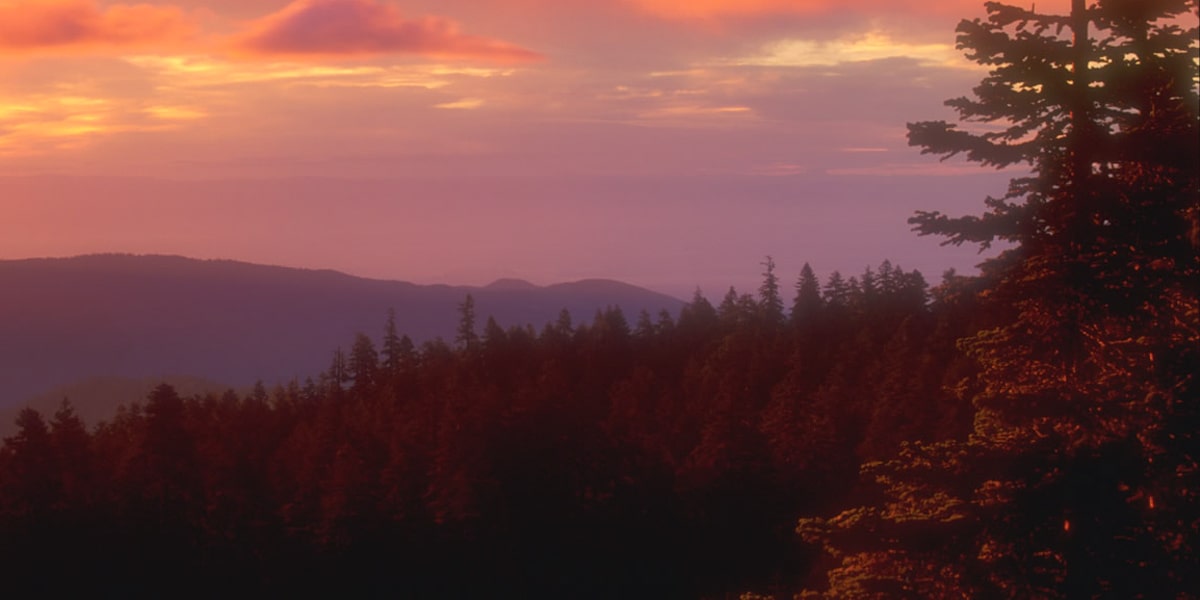 RV Sites & Mobile Homes