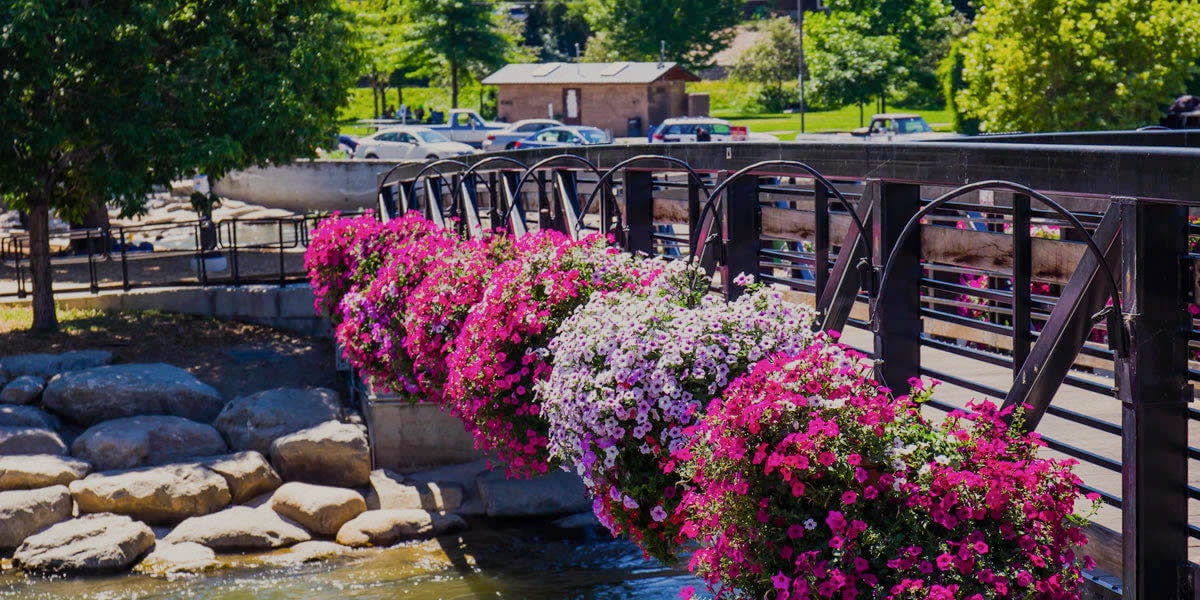 RV Sites & Mobile Homes