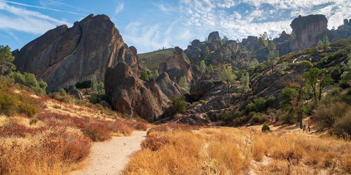 RV Sites & Mobile Homes